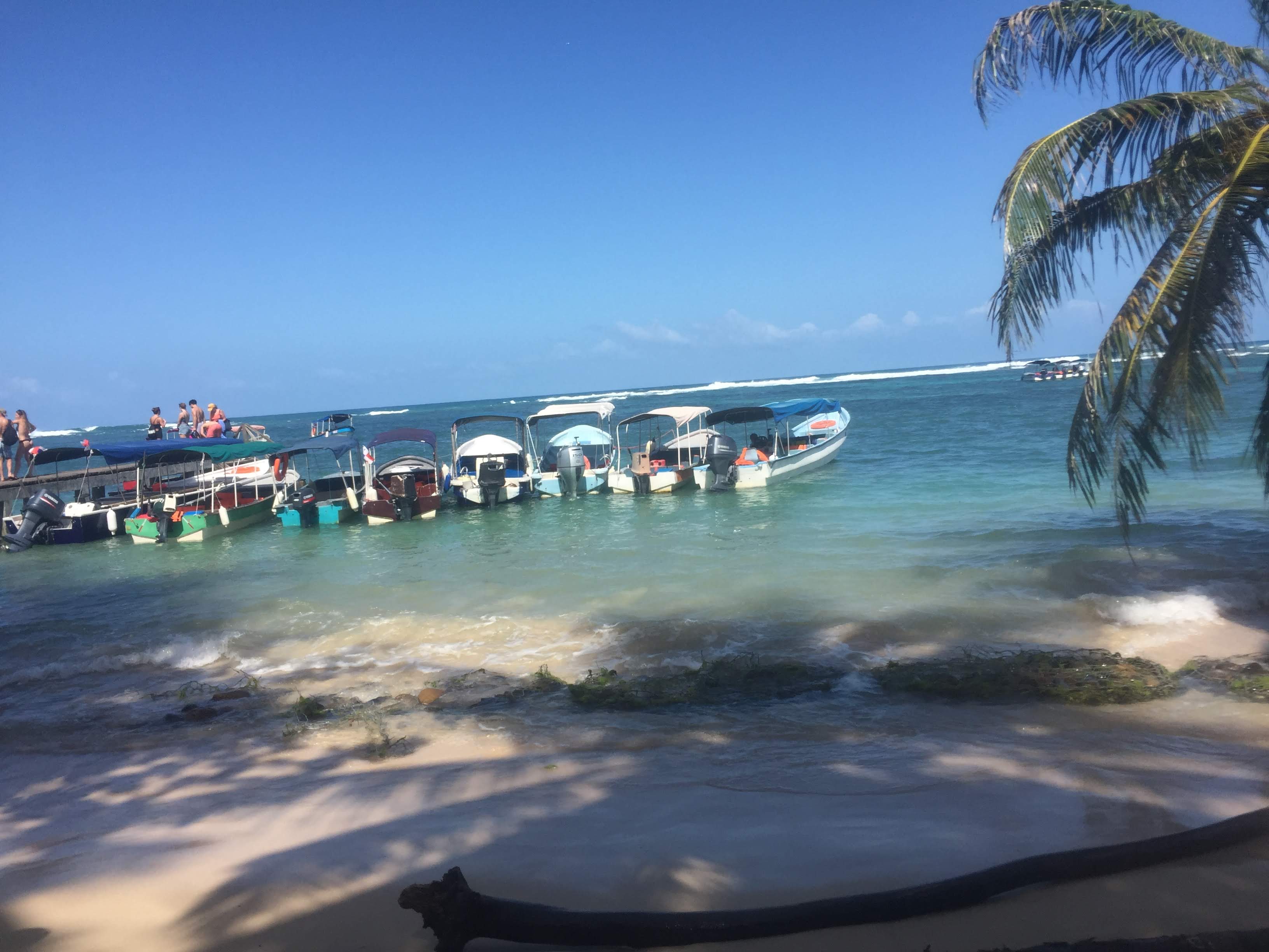 Isla Zapatillos, Zapatillos Island, Bocas Del Toro, Snorkeling, beach